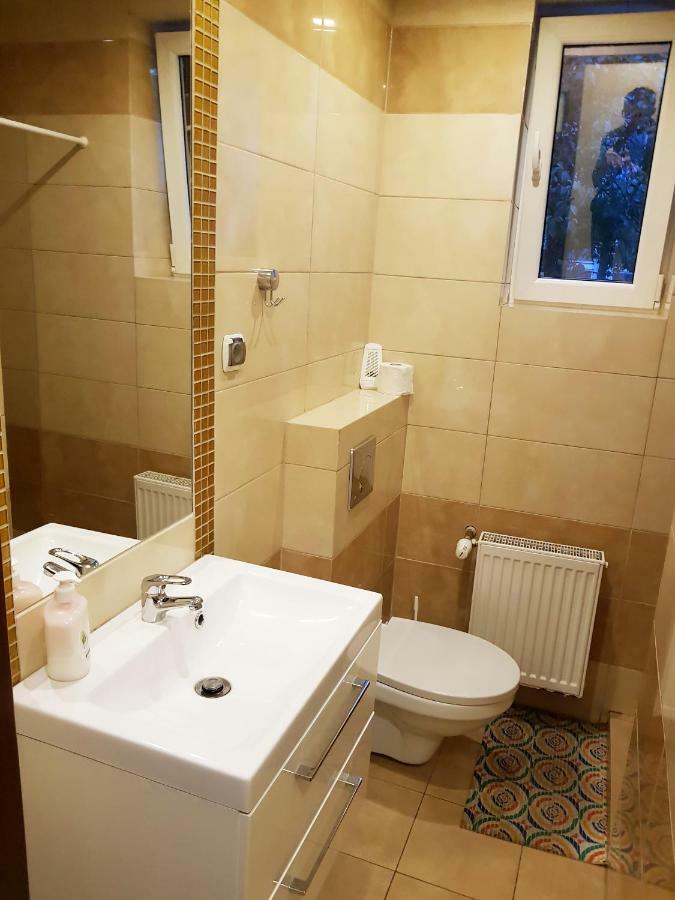 Apartamenty I Pokoje Przy Parku Jelenia Góra Extérieur photo